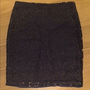 Elegant Navy Lace Skirt